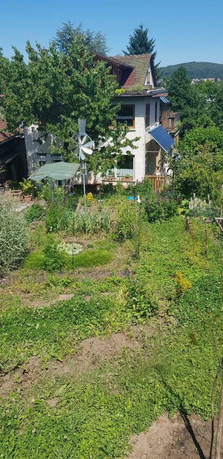 Ferienwohnung Wendel Erbach  Exterior photo